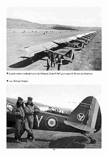 428 PILOTE AU PMAH-12eme-DI (38)